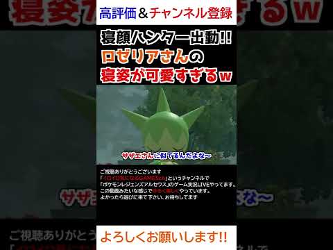 ロゼリアさんの「寝姿」が可愛すぎるww【Pokémon LEGENDS アルセウス】【寝顔ハンター】