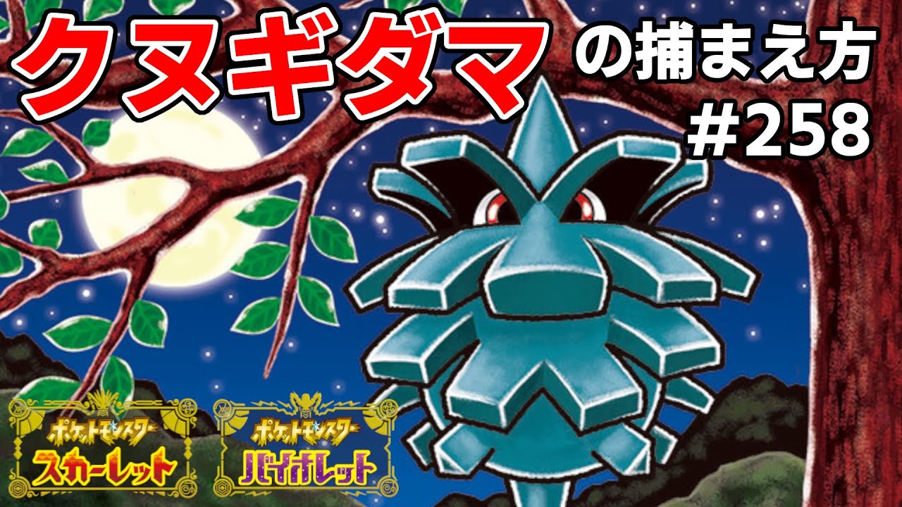 クヌギダマを探している方に見てほしい動画