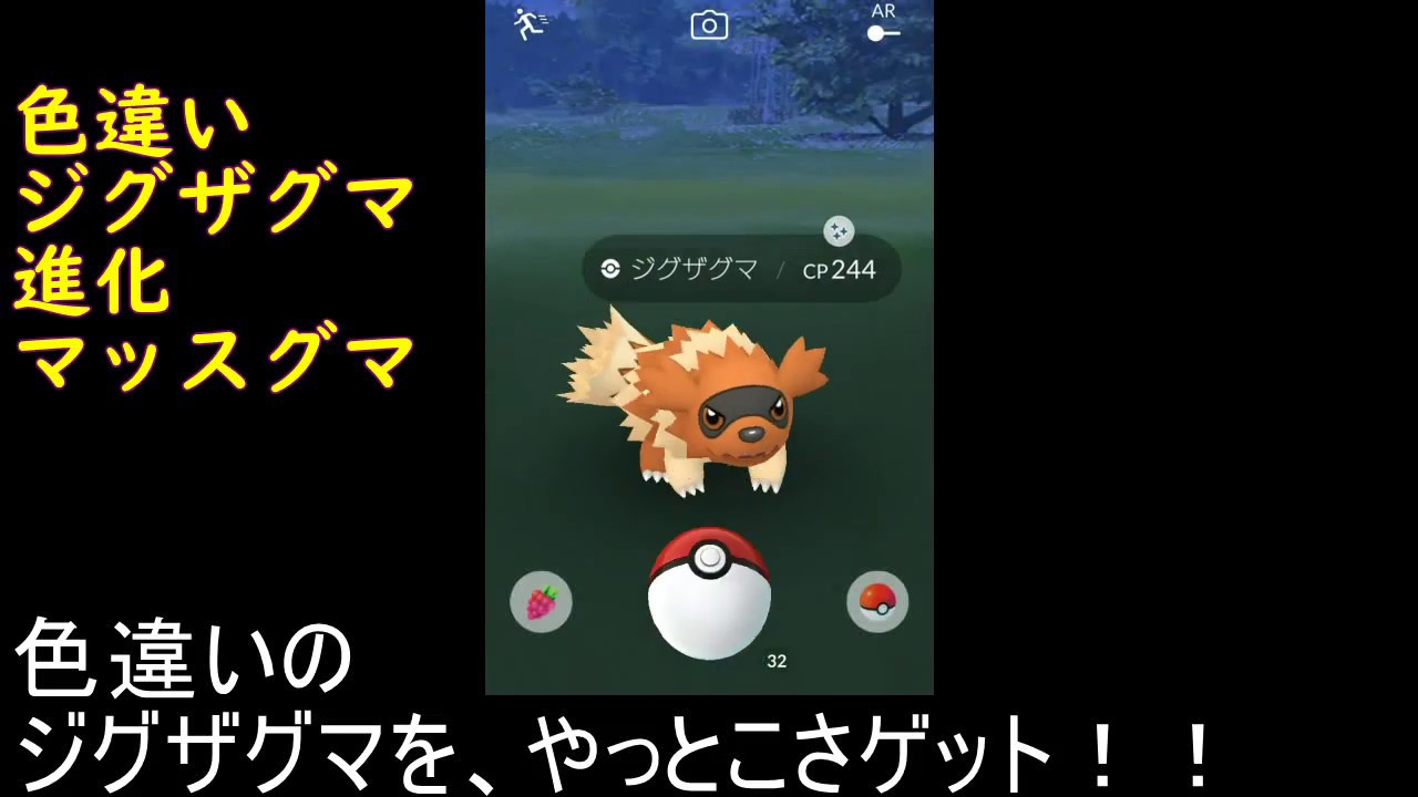 色違いジグザグマ、進化マッスグマ【ポケモンGO】