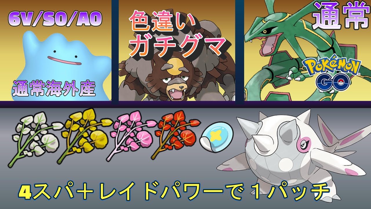 痛い・・・　数体限定 色違いガチグマ   海外産 6V S0 A0メタモン 通常レックウザ配布　「Pokémon」「ポケモンSV」 9月8日　配布ライブ