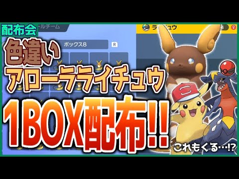 色違いアローラライチュウ１BOX配布会！配布産お宝サトシピカチュウとガブリアスも来た！概要欄必読！！ 【ポケモンSV スカーレット バイオレット】