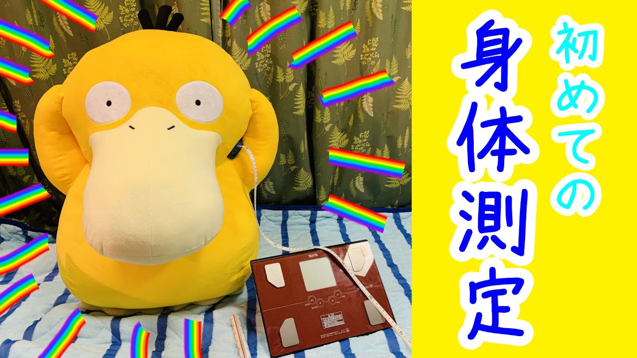 【軽すぎ？】等身大コダックの身体測定をします！！【保護コダック２日目】