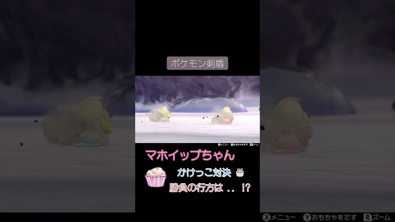 マホイップちゃん 、かけっこ対決 。勝負の行方は .. ! ?