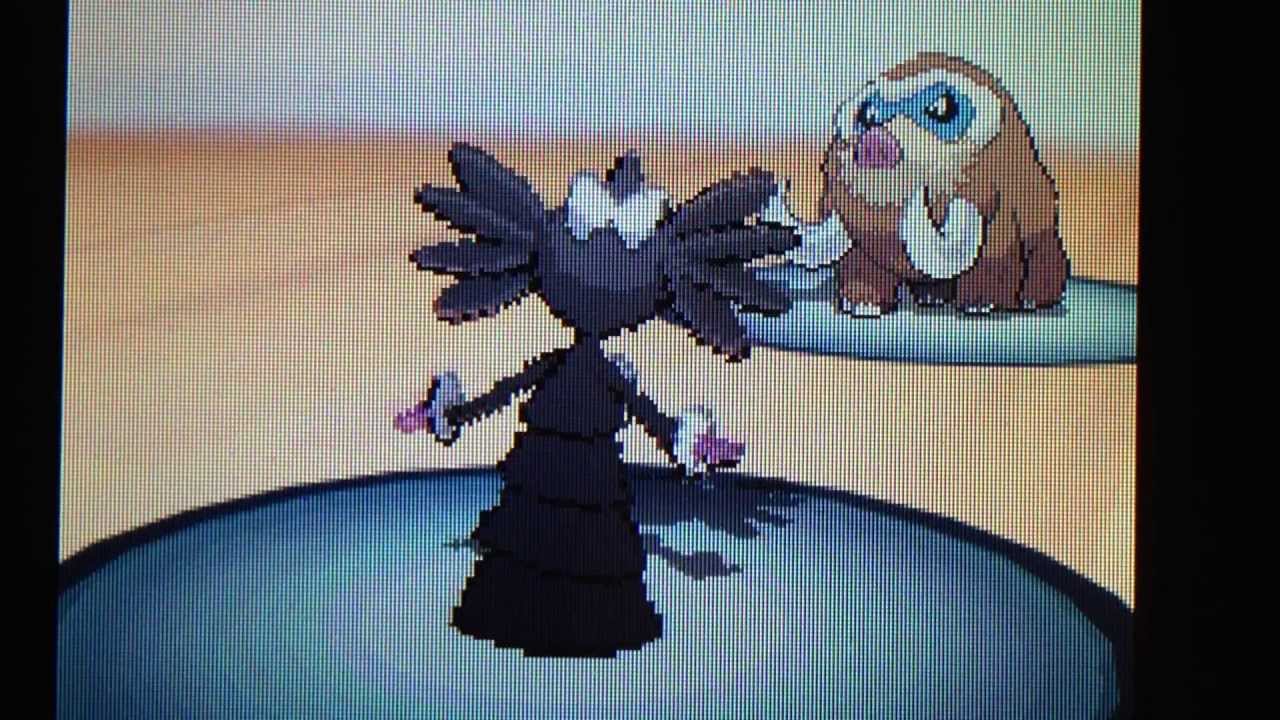 ポケモンBW２ランダム　可愛らしい夢ゴチミルとスナイパーアリアドス