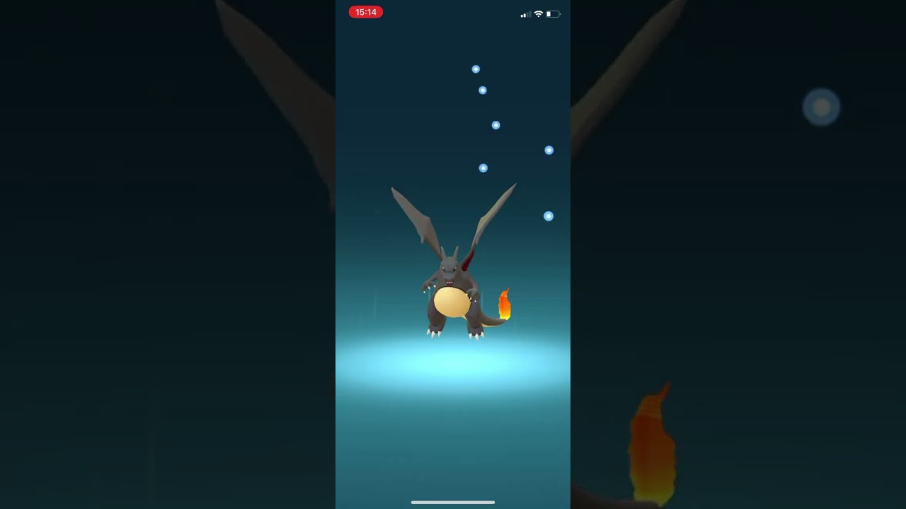 【ポケモンGO】色違いメガリザードンXへメガシンカさせる！コミュニティデイ #shorts