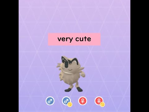 【ポケモンGO】相棒ガラルニャース誕生！！(very cute!!)#Shorts