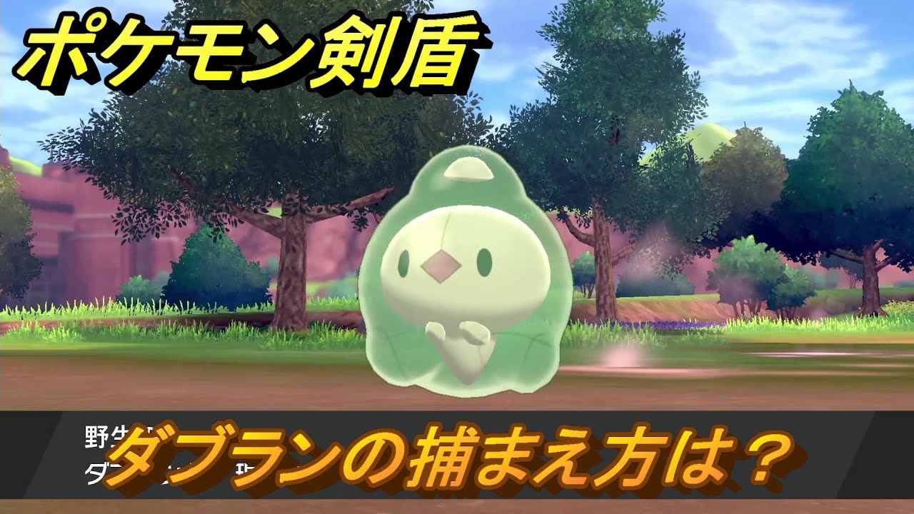 ポケモン剣盾　ダブランの出現場所は？オススメの場所は？天気は？ポケモン図鑑コンプへの道！　最新版【ポケモンソード・シールド】