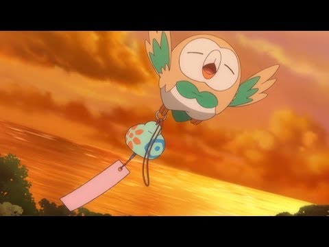 Not so fast, Rowlet!