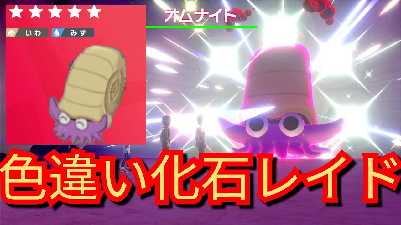 【化石ポケレイド】色違いオムナイトの出現率アップ！ゲットして連れ歩いてみた！期間限定イベント/マックスレイドバトル/ポケモン剣盾/ソードシールド/ポケットモンスター/Pokémon