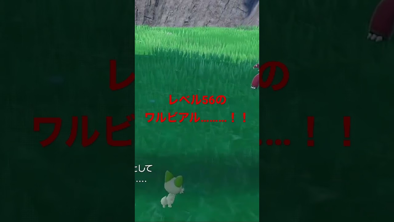 (気をつけなはれや！)ポケモンリーグ前で遭遇できる初見殺し　#ポケモンsv #ワルビアル