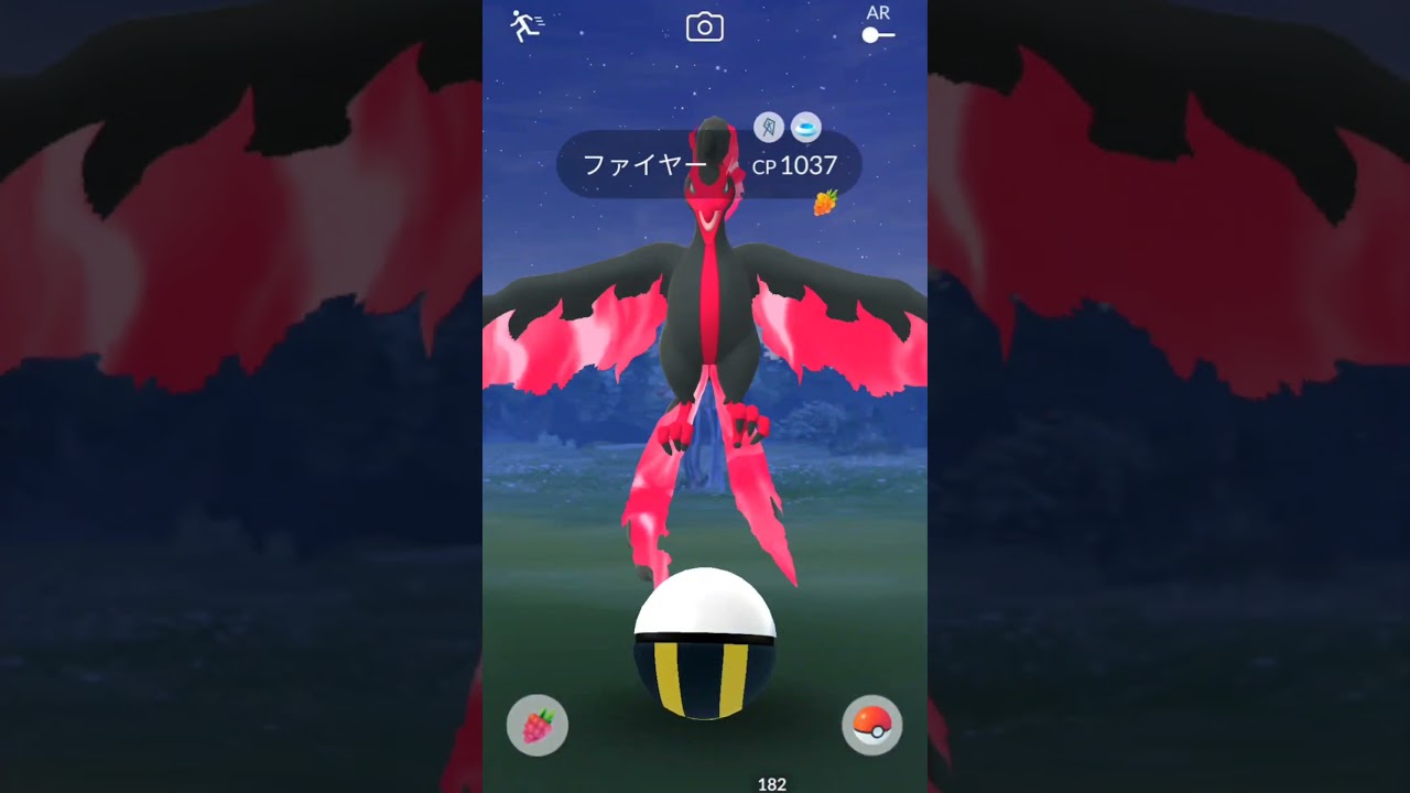 【ガラルファイヤー】それでもハイパーボールを投げ続ける！ポケモンGO/おさんぽおこう/野生/ガラル三鳥/パルデアの冒険イベント/ポケモン剣盾/#shorts