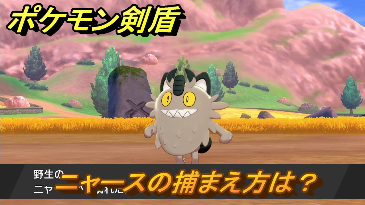 ポケモン剣盾　ニャースの出現場所は？オススメの場所は？天気は？ポケモン図鑑コンプへの道！　最新版【ポケモンソード・シールド】