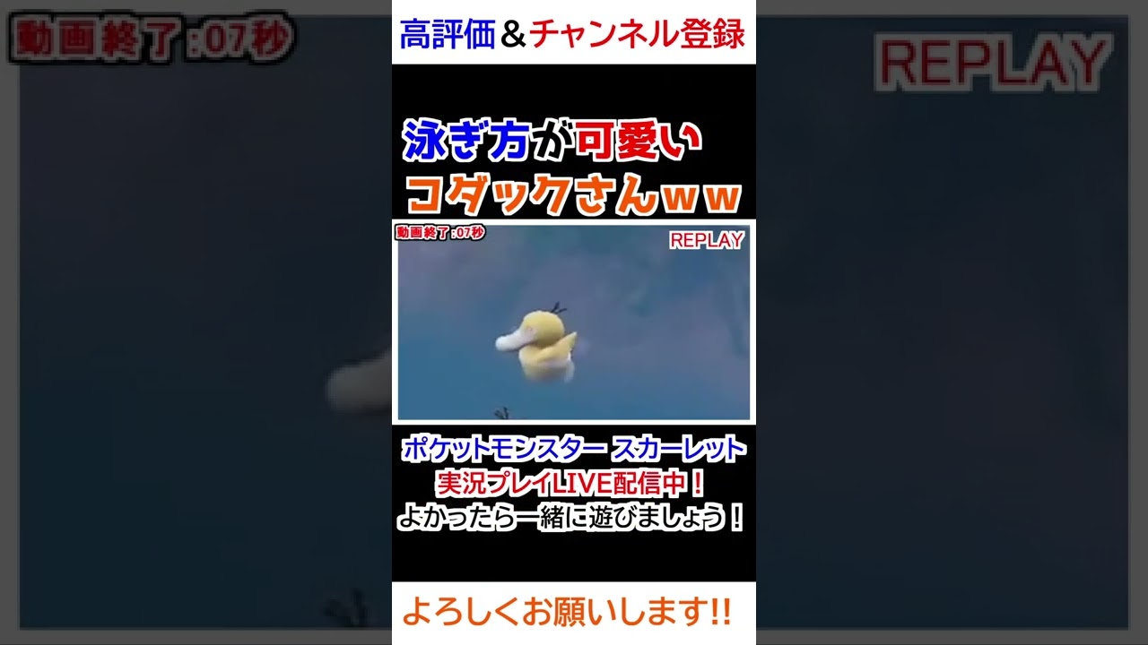 泳ぎ方が可愛いコダックさんｗｗｗ【ポケモンSV】