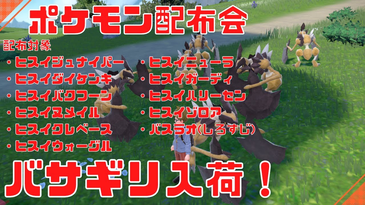 【ポケモンSV】ヒスイポケモン配布会！バサギリ入荷しました※なくなり次第終了です【橘シリュウ】