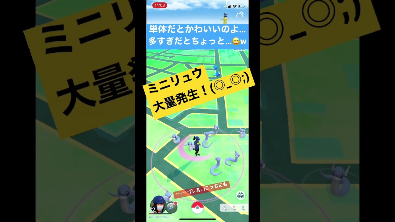 こんなにいると…💦 #shorts #ミニリュウ #pokemongo