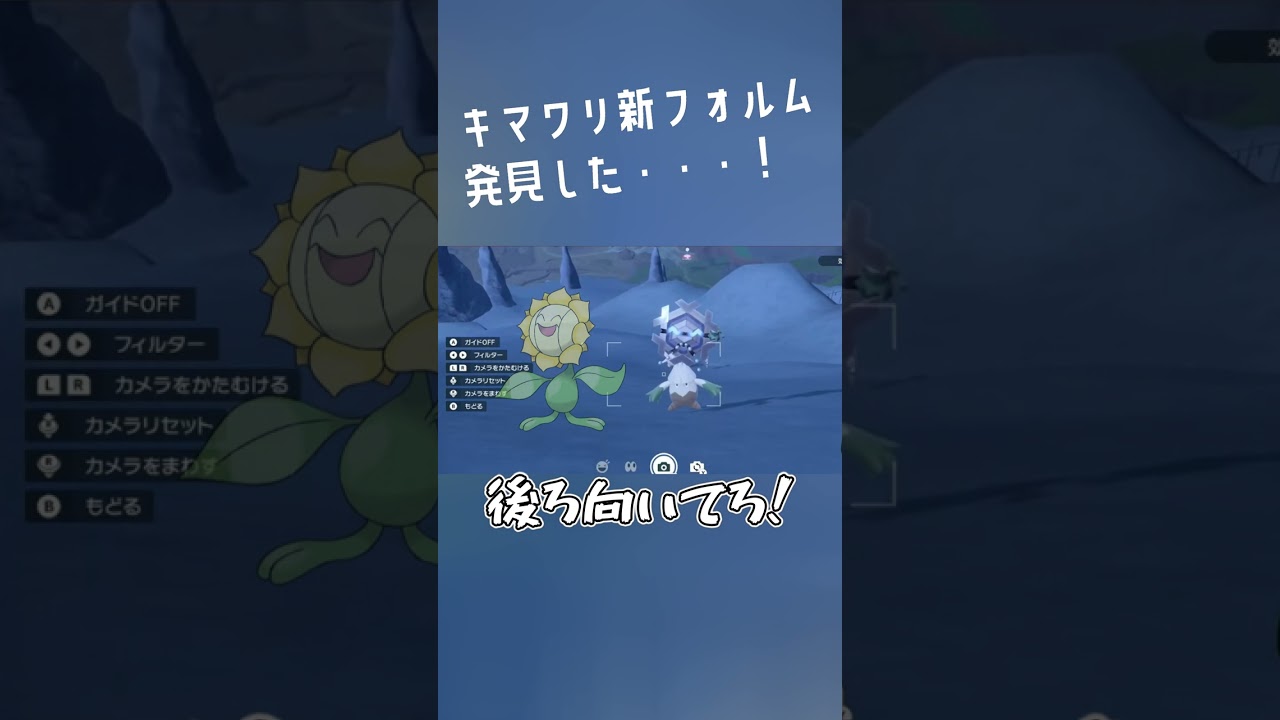 【#ポケモンsv  】新フォルムキマワリ発見した・・・！#shorts
