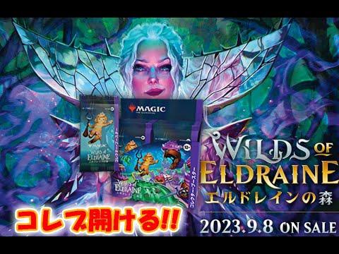 【生配信】エルドレインの森　コレクターブースター開封【MTG】
