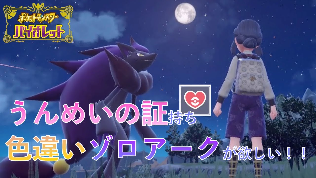 【色証粘り】運命の証持ち色違いゾロアークが欲しいので、ゾロアを粘る！！【ポケモンSV】