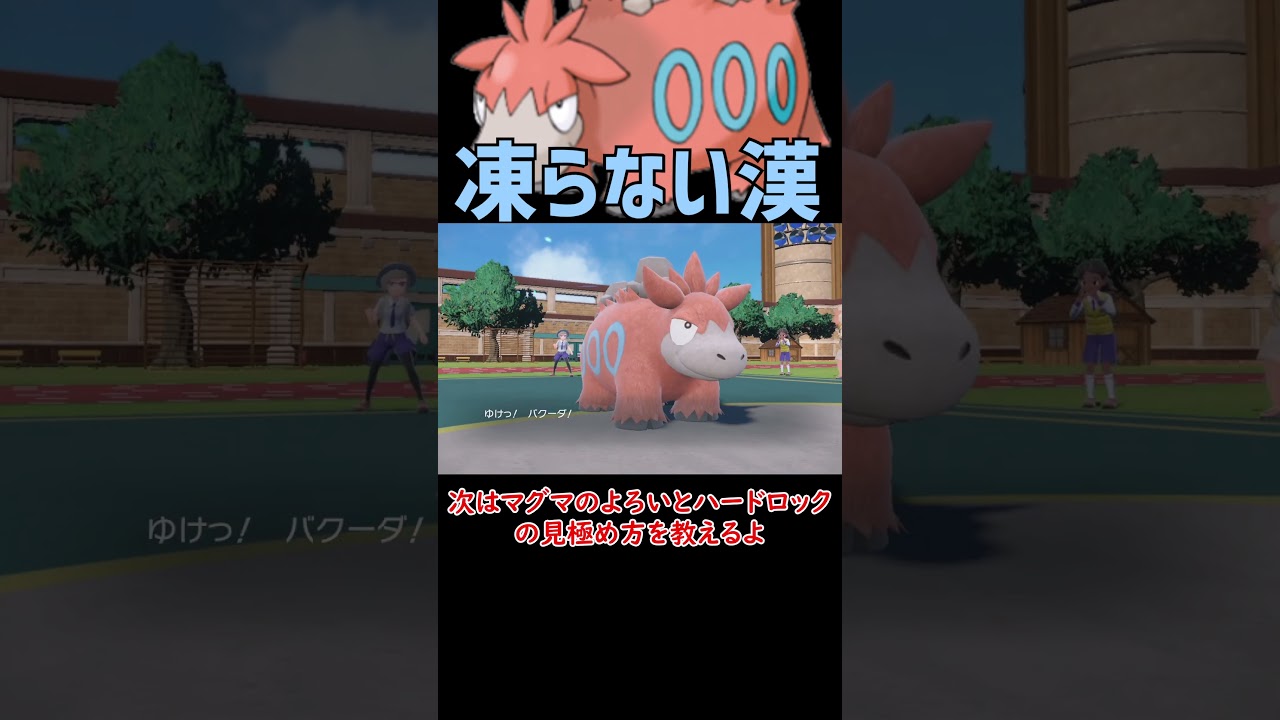 絶対に凍らない バクーダ【ポケモンSV】【ロマン】