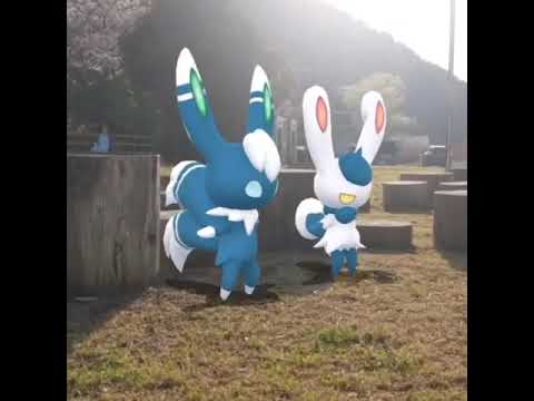 냐오닉스 ( Meowstic ) ニャオニクス ( 超能妙喵 )