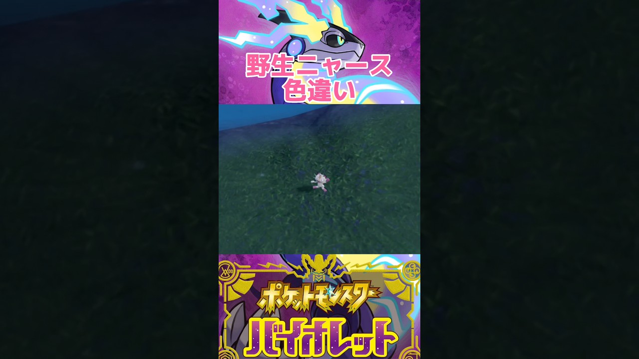 野生ニャース色違い【ポケモンSV】 #shorts