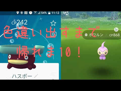 【色違い出すまで帰れま10】ハスボーとポワルン編