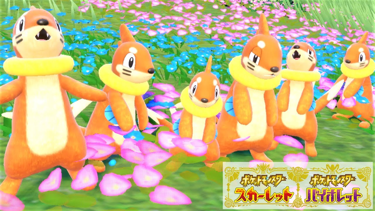 【可愛い】ブイゼル６匹に囲まれて癒されピクニック【ポケモンSV】