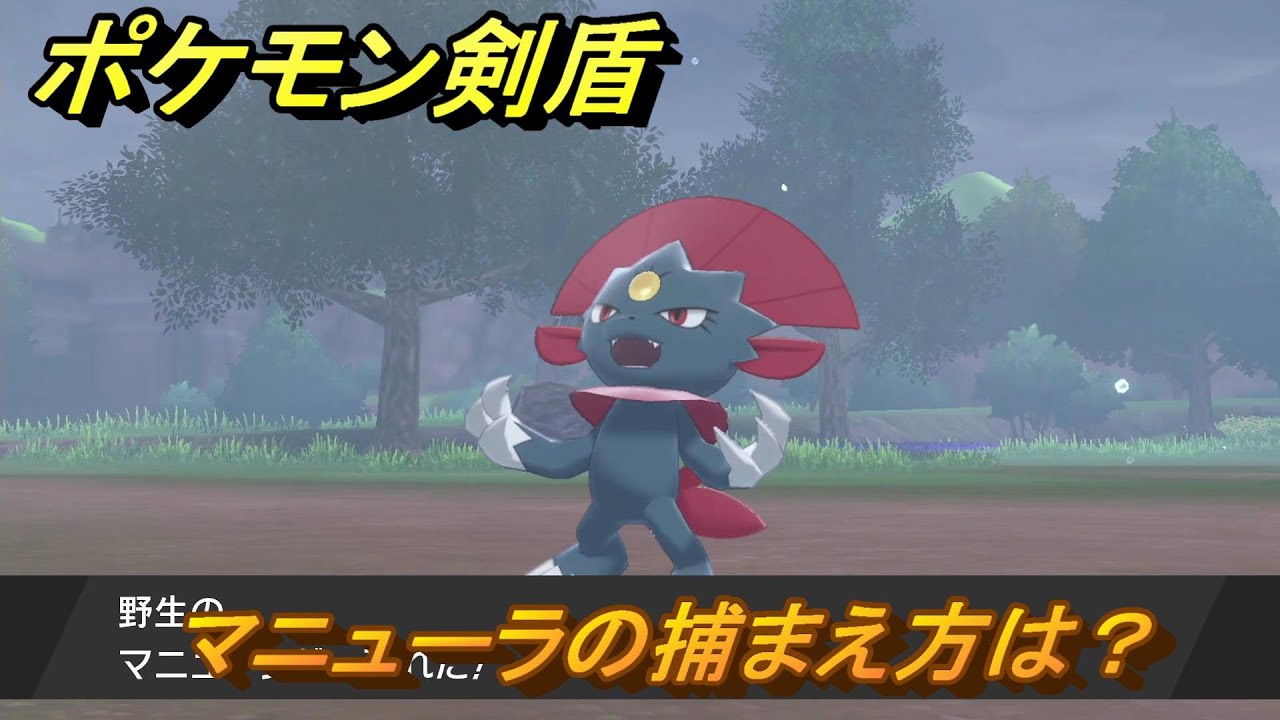ポケモン剣盾　マニューラの出現場所は？オススメの場所は？天気は？ポケモン図鑑コンプへの道！　最新版【ポケモンソード・シールド】
