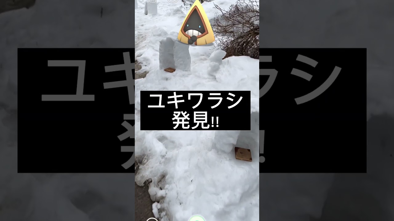 【ポケモンGO】ユキワラシ発見!!