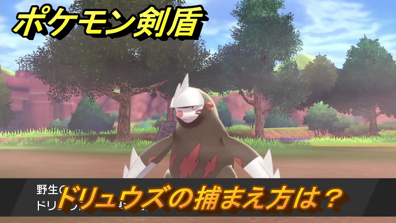 ポケモン剣盾　ドリュウズの出現場所は？オススメの場所は？天気は？ポケモン図鑑コンプへの道！　最新版【ポケモンソード・シールド】