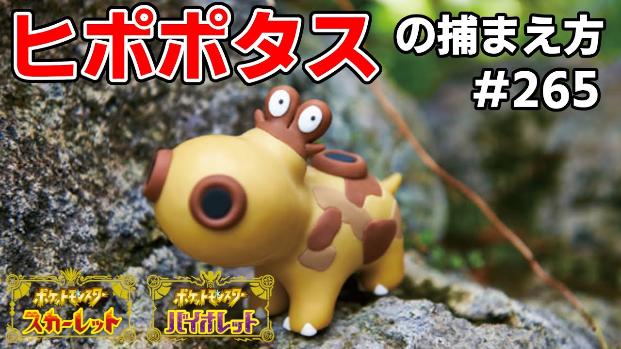 ヒポポタスを探している方に見てほしい動画