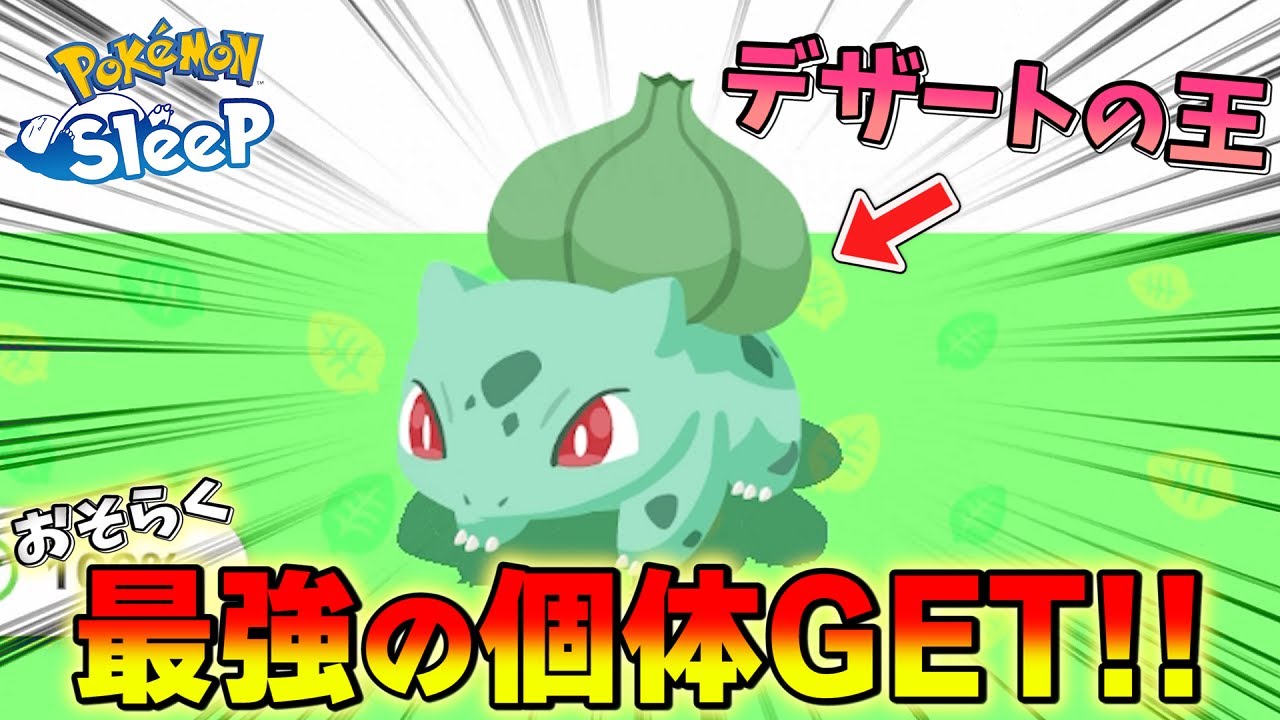 【告白】実はめちゃくちゃ強いフシギダネ捕まえてました｡【ポケモンスリープ/ワカクサ本島】