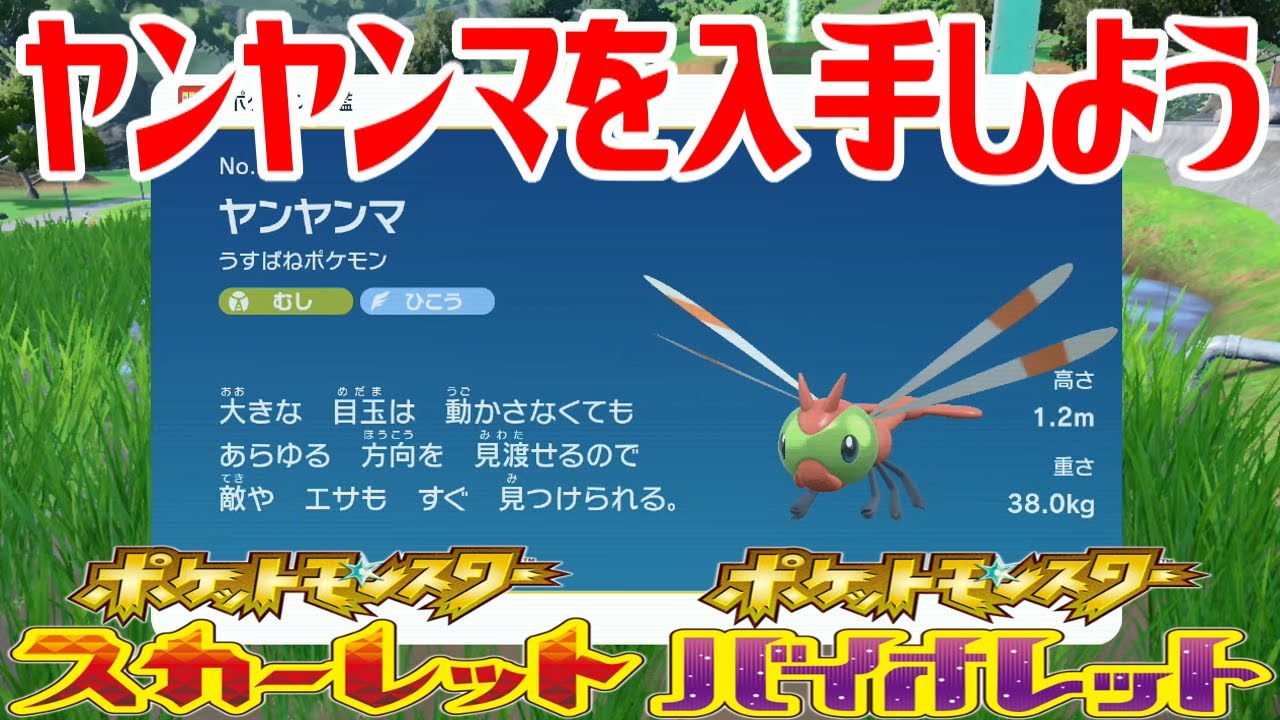 【ポケモンSV】ヤンヤンマを入手しよう【ポケットモンスター スカーレット・バイオレット ゼロの秘宝 碧の仮面】Pocket Monsters