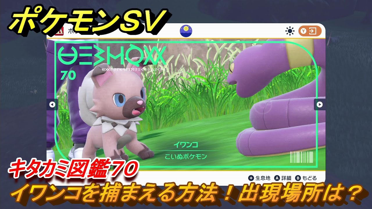 ポケモンＳＶ　イワンコを捕まえる方法！出現場所は？　キタカミ図鑑７０　ポケモン図鑑を完成させよう！　＃７４　【DLCゼロの秘宝　碧の仮面・藍の円盤】