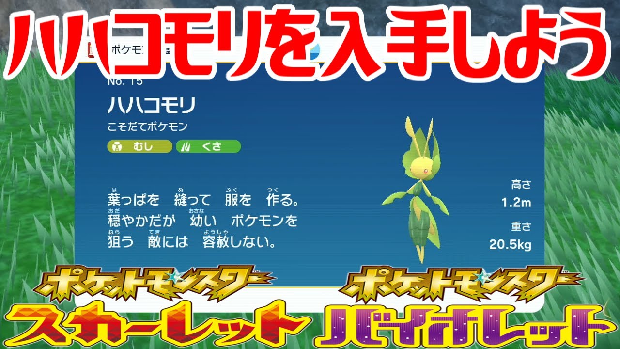 【ポケモンSV】ハハコモリを入手しよう【ポケットモンスター スカーレット・バイオレット ゼロの秘宝 碧の仮面】Pocket Monsters