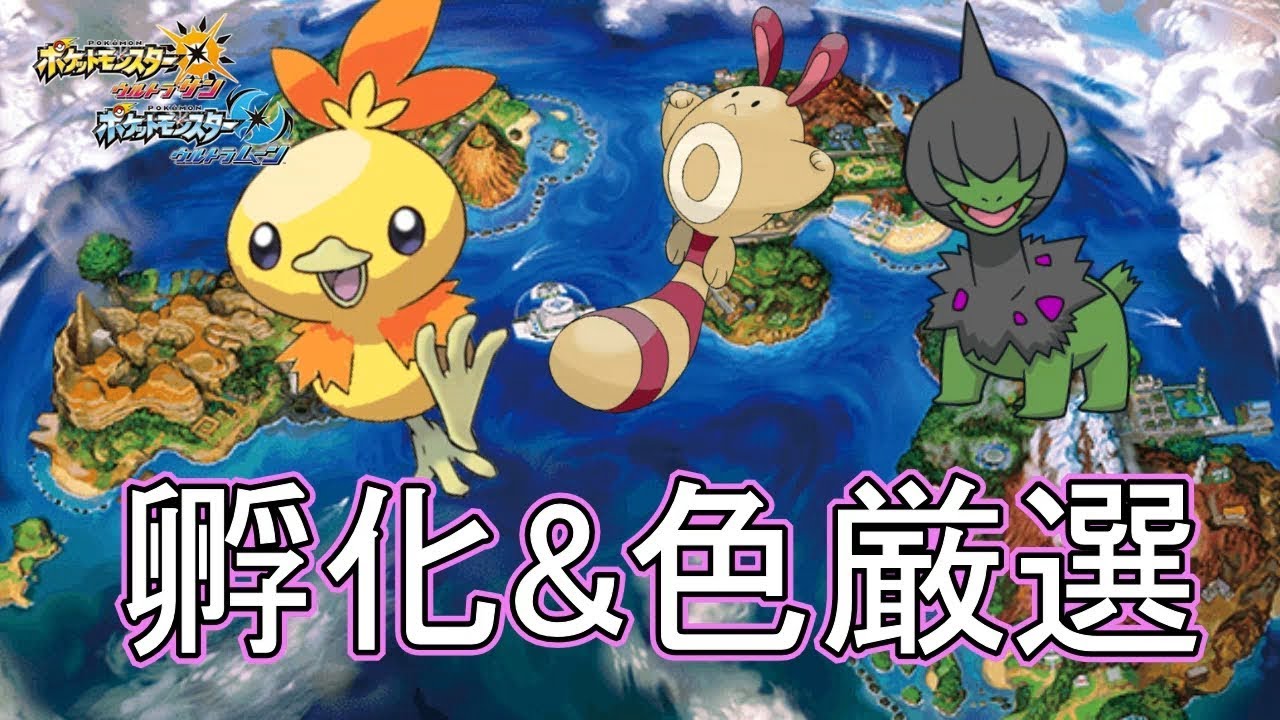 モノズ　オタチ　アチャモの色違い産むぞ！！　【概要欄読んでから質問どうぞ】