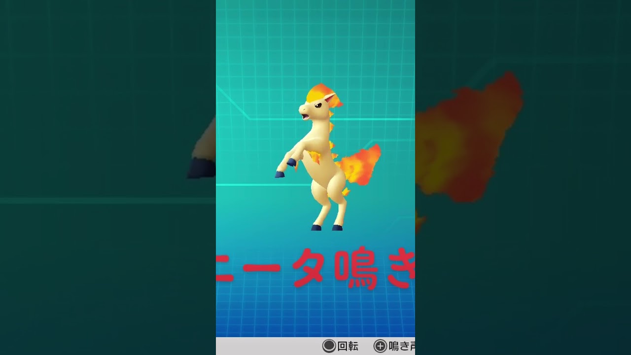 ピカブイ【図鑑NO077】ポニータ鳴き声#ポケモン鳴き声 #図鑑コンプ #レッツゴーピカチュウ #レッツゴーイーブイ#ポケモン生態#ポニータ動き#Ponyta