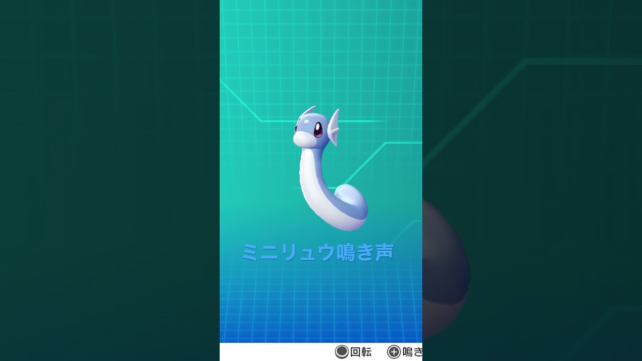 ピカブイ【図鑑NO147】ミニリュウ鳴き声#ポケモン鳴き声 #図鑑コンプ #レッツゴーピカチュウ #レッツゴーイーブイ#ポケモン生態#ミニリュウ動き#Dratini