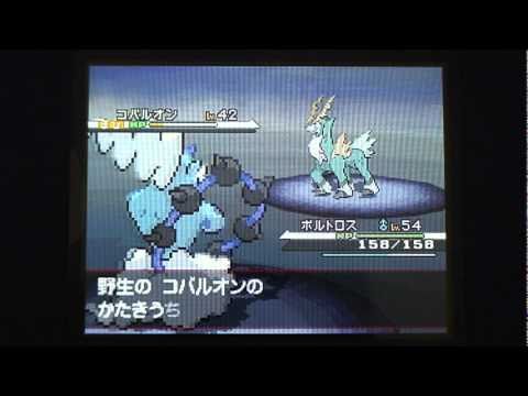 ポケットモンスターホワイト　コバルオン戦