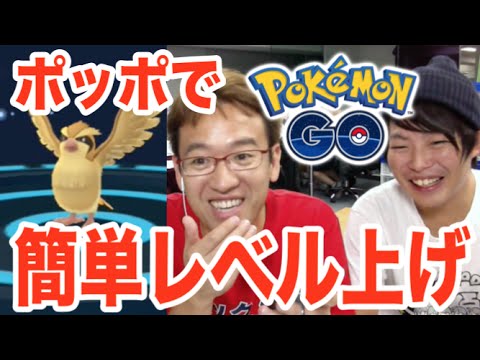 【ポケモンGO】トレーナーレベルを速く上げる方法！ポッポマラソンとは！？ Pokémon GO