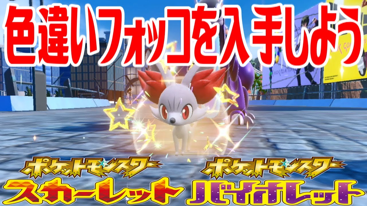 【ポケモンSV】色違いフォッコを入手しよう タマゴふか(タマゴ孵化)【ポケットモンスター スカーレット・バイオレット】Pocket Monsters