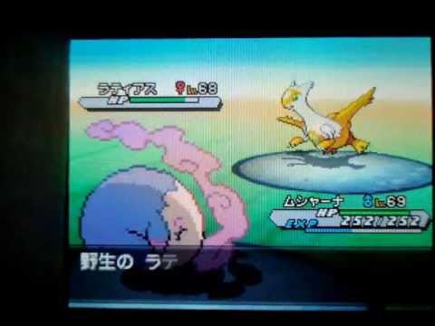 ポケモンBW2 色違いラティアス臆病5V Pokemon