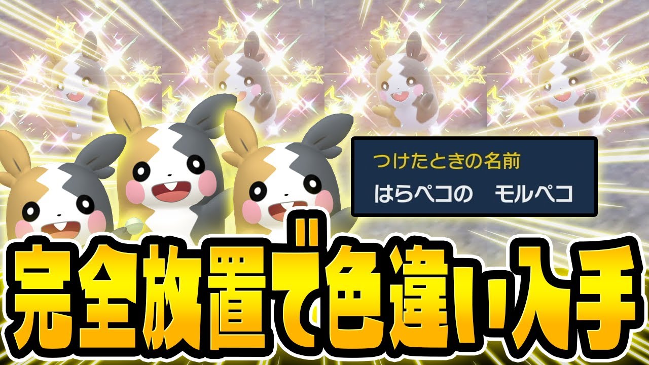 【超簡単】完全放置ではらペコの色違いモルペコを入手できる場所を見つけました！【ポケモンSVゼロの秘宝/碧の仮面】