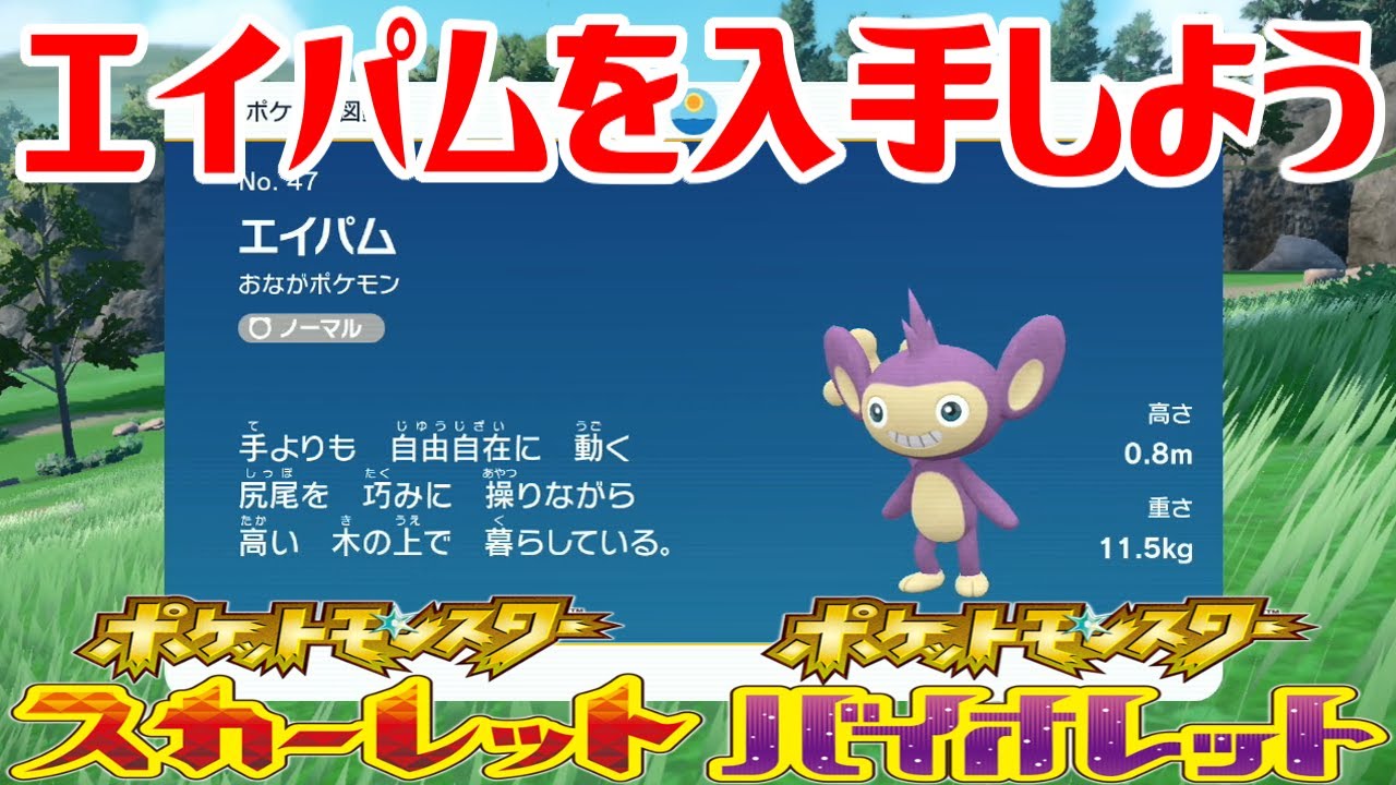 【ポケモンSV】エイパムを入手しよう【ポケットモンスター スカーレット・バイオレット ゼロの秘宝 碧の仮面】Pocket Monsters