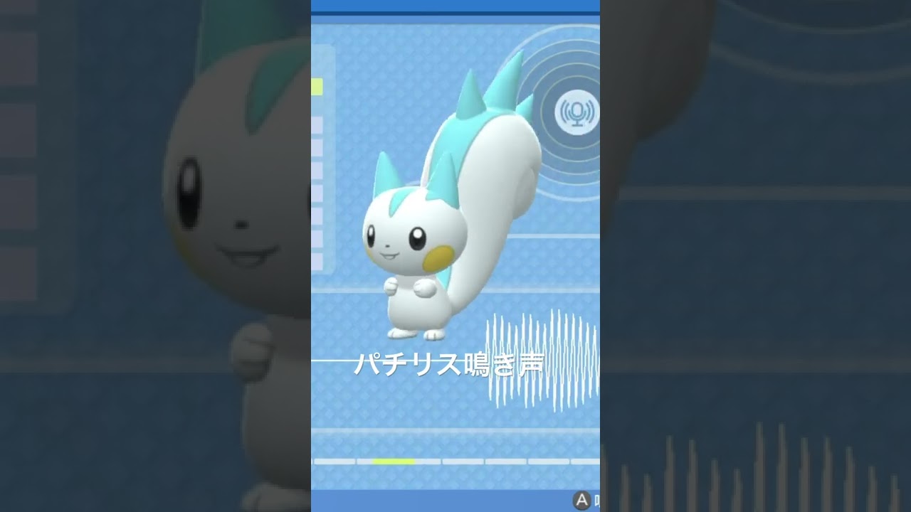 BDSP【シンオウ図鑑NO055】パチリス鳴き声#ポケモン鳴き声 #図鑑コンプ #ブリリアントダイヤモンド #シャイニングパール#ポケモン生態#第四世代鳴き声#Pachirisu