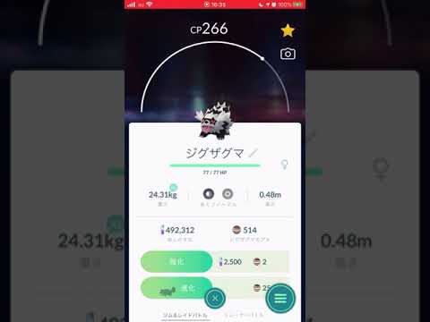 ［ポケモンGO］ガラル 進化「ジグザグマ→マッスグマ→タチフサグマ」