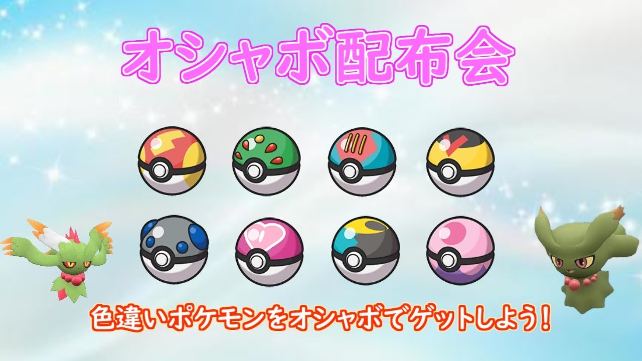 （ポケモンSV）オシャボ配布会