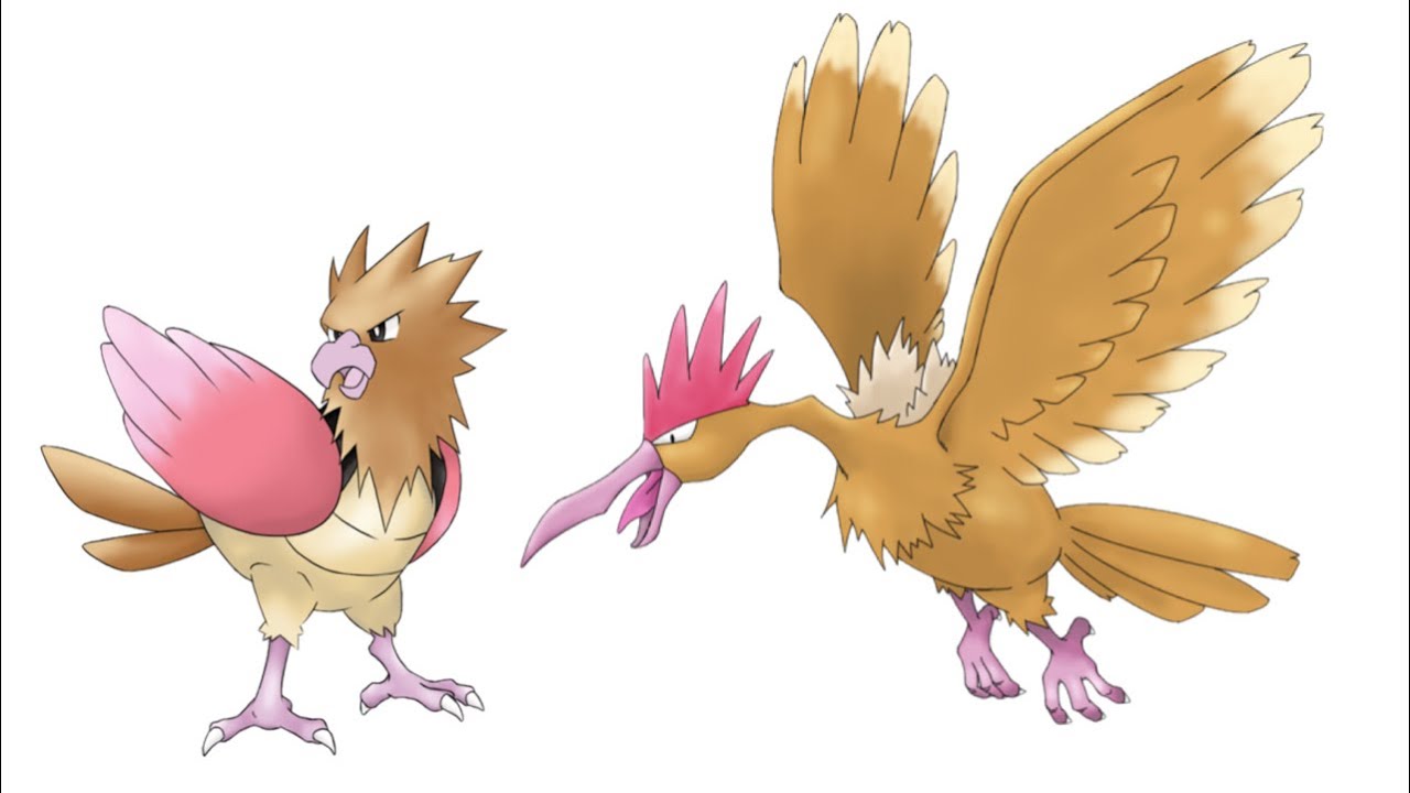 #21.22ポケモン描いてみた【オニスズメ、オニドリル】Pokemon drawing