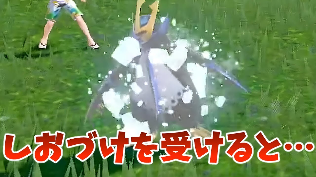 【検証】唯一のみず・はがねタイプのエンペルトでしおづけ受けたらHPは半分減ってしまうのか検証してみた【ポケモンsv】