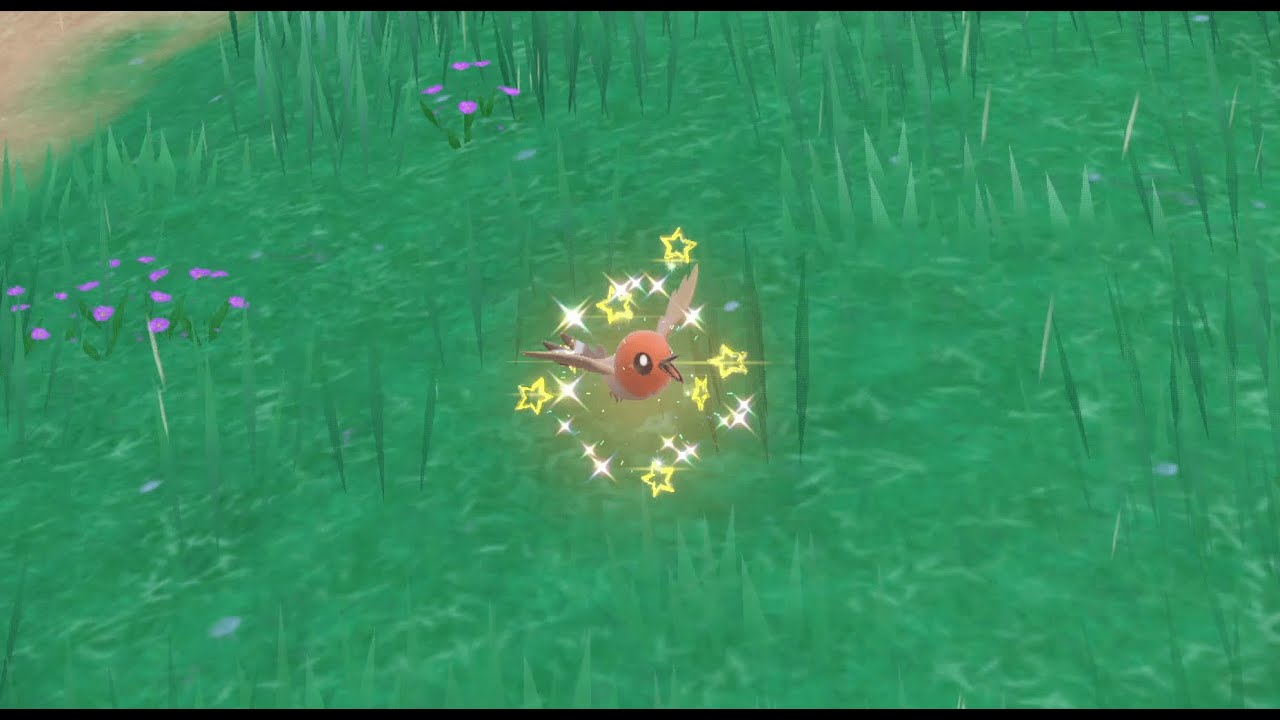 【ポケモンsv】ヤヤコマ色違い